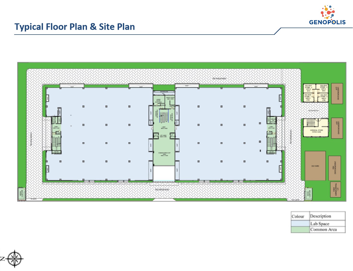 layout